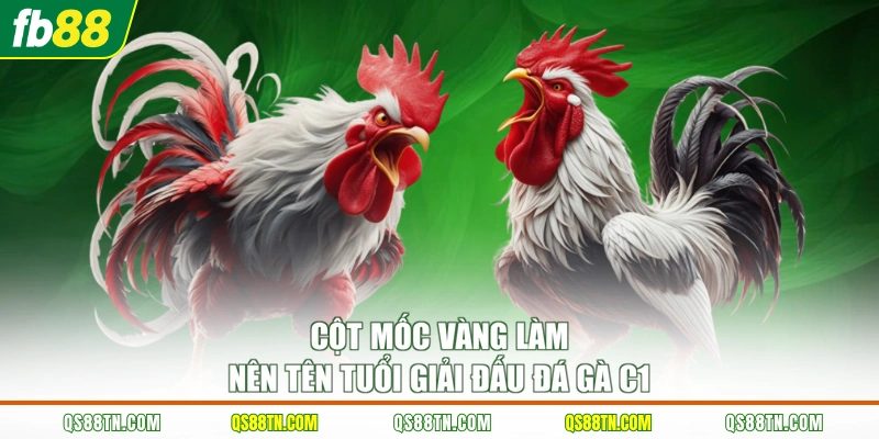 Cột mốc vàng làm nên tên tuổi giải đấu đá gà C1 
